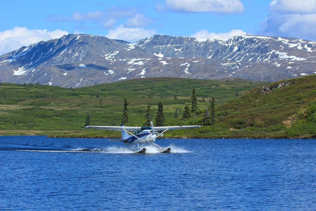 Caribou Lodge Alaska Talkeetna Kültér fotó