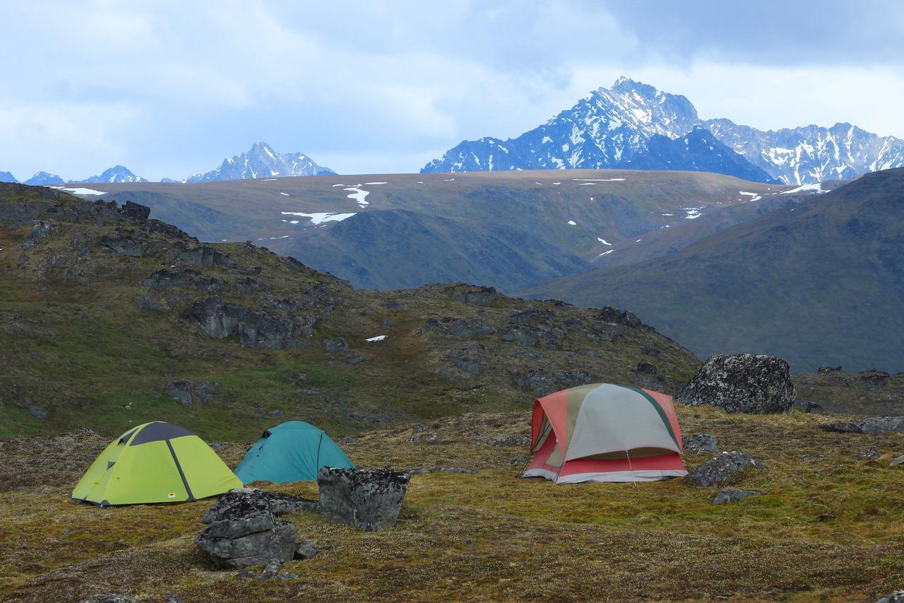 Caribou Lodge Alaska Talkeetna Kültér fotó