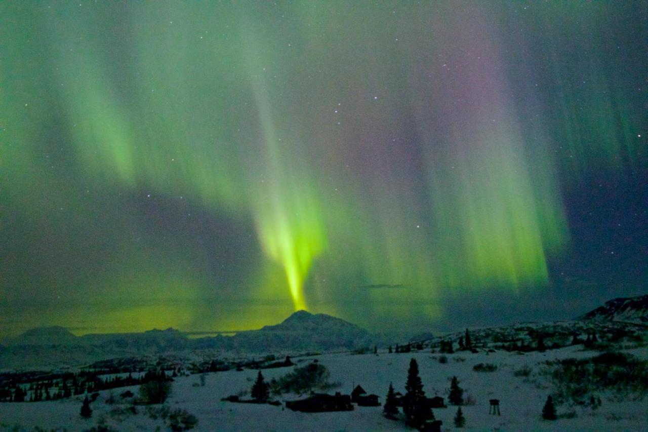Caribou Lodge Alaska Talkeetna Kültér fotó
