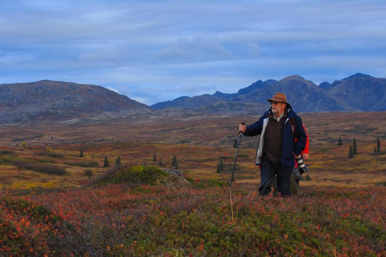Caribou Lodge Alaska Talkeetna Kültér fotó