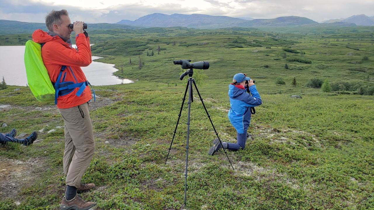Caribou Lodge Alaska Talkeetna Kültér fotó