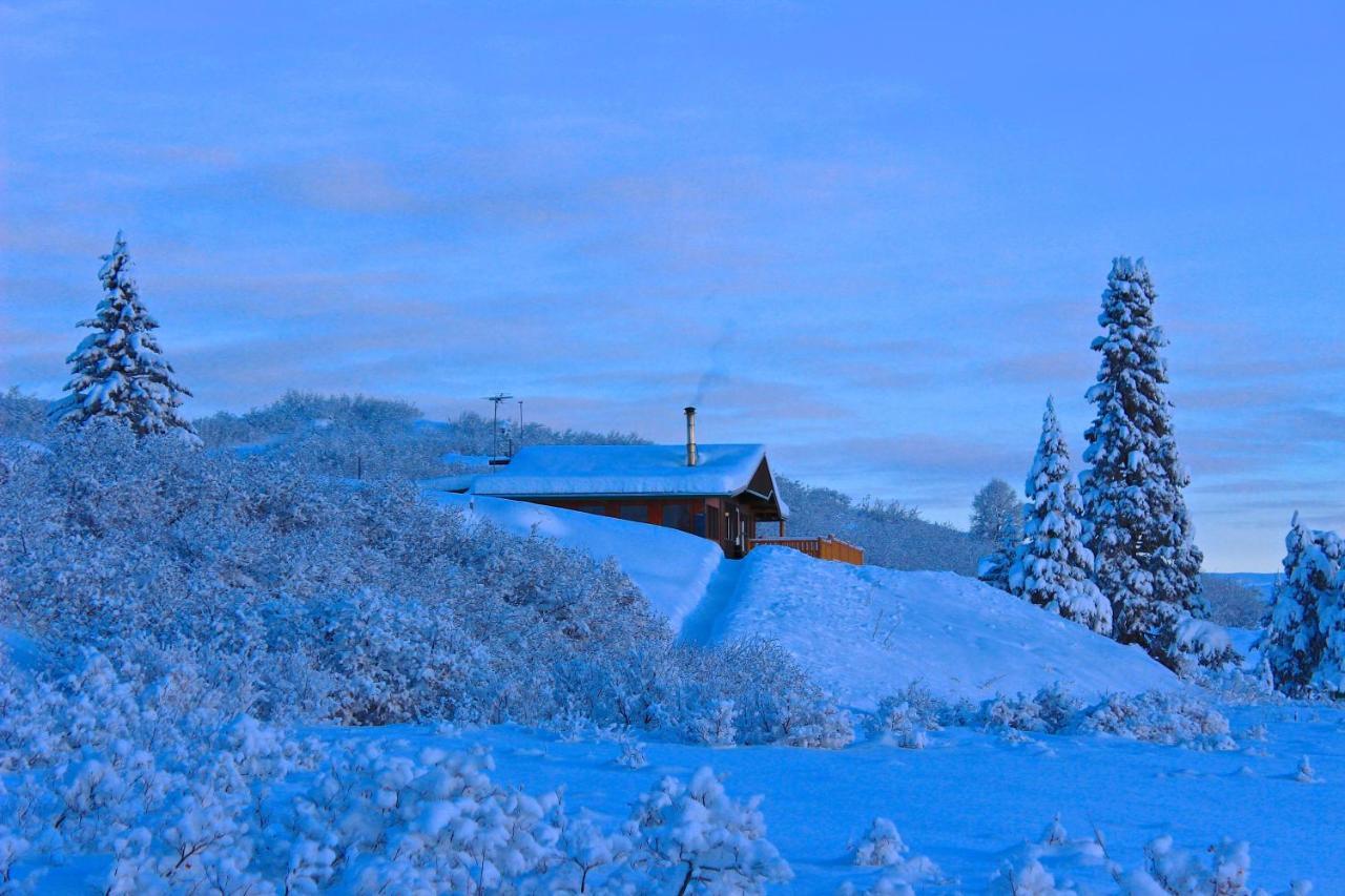 Caribou Lodge Alaska Talkeetna Kültér fotó